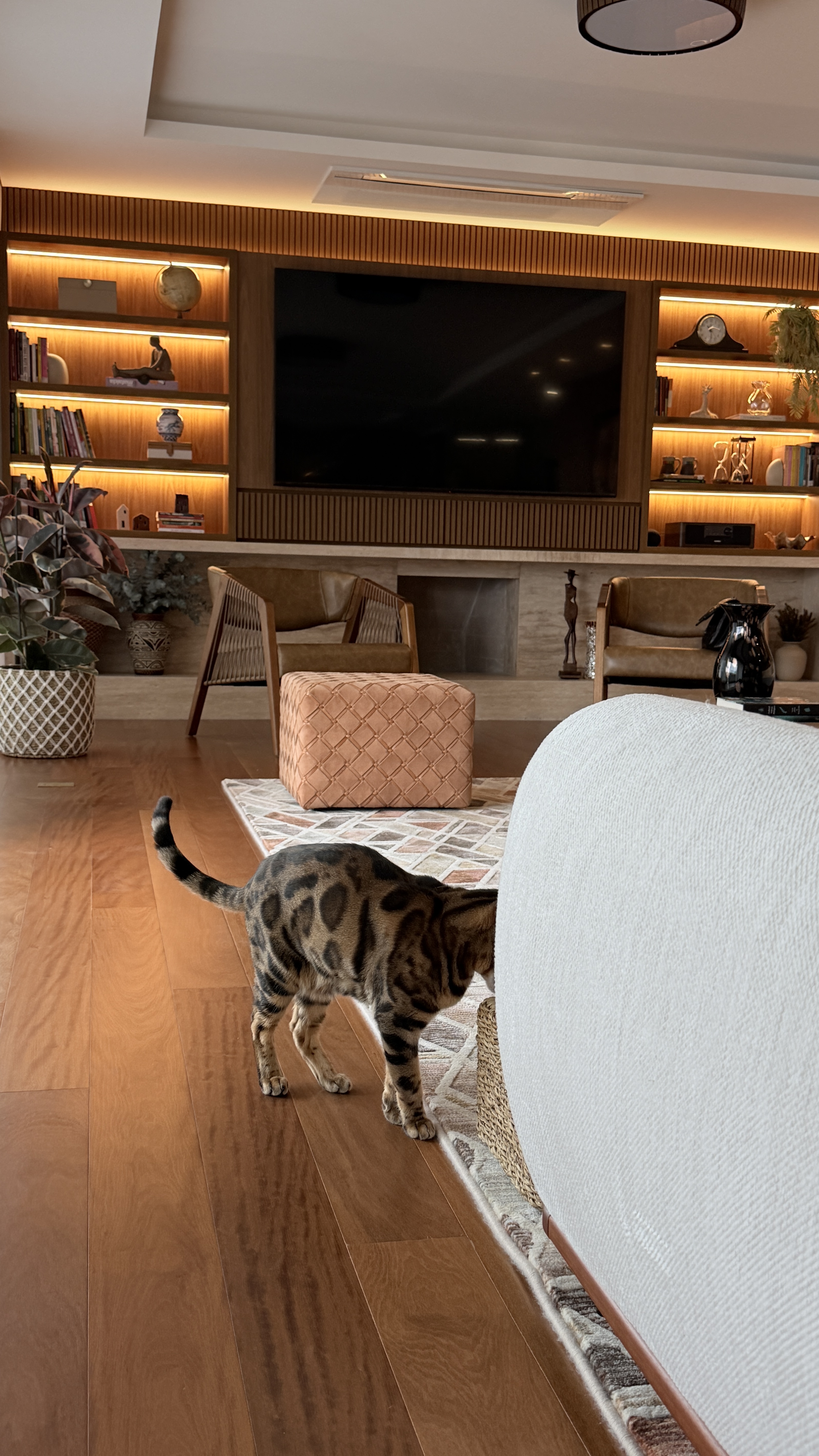 Sala de Star Garden Haus  Porsche Consulting Porto Alegre - Projeto de arquitetura e design de interiores - estar - Camila Chalon Arquitetura